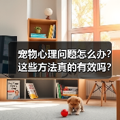 宠物心理问题怎么办？这些方法真的有效吗？