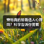 宠物真的能看透人心理吗？科学告诉你答案（图1）
