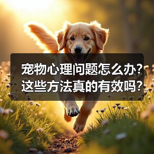 宠物心理问题怎么办？这些方法真的有效吗？（图4）