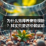 为什么觉得养宠物很脏？其实只要这样做就能改变（图2）