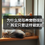 为什么觉得养宠物很脏？其实只要这样做就能改变（图3）