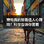 宠物真的能看透人心理吗？科学告诉你答案（图3）