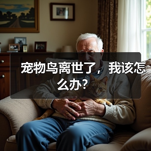 宠物鸟离世了，我该怎么办？