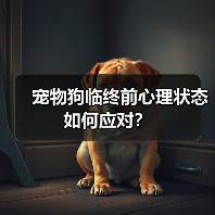 宠物狗临终前心理状态如何应对？（图3）