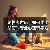 宠物离世后，如何走出悲伤？专业心理辅导方案帮你走出阴霾（图3）