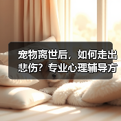 宠物离世后，如何走出悲伤？专业心理辅导方案帮你走出阴霾（图4）