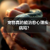 宠物真的能治愈心理疾病吗？（图2）