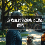 宠物真的能治愈心理疾病吗？（图3）