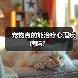 宠物真的能治疗心理疾病吗？