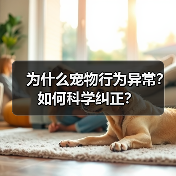 为什么宠物行为异常？如何科学纠正？