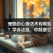 宠物的心理话术有哪些？学会这些，你就是它们的“心灵导师”（图4）