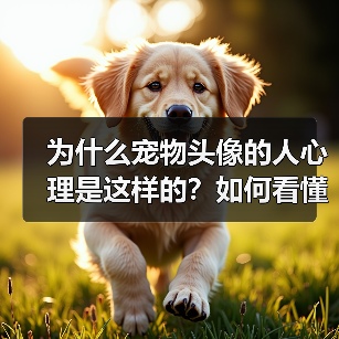 为什么宠物头像的人心理是这样的？如何看懂他们的内心世界？（图3）