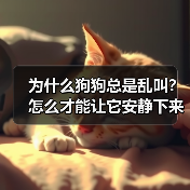为什么狗狗总是乱叫？怎么才能让它安静下来？（图3）