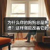 为什么你的狗狗总是焦虑？这样做能改善它的心理健康（图2）