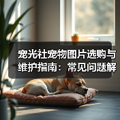 宠光社宠物图片选购与维护指南：常见问题解析2025（图4）