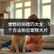 宠物拍照技巧大全：5个方法拍出宠物大片（2026推荐）（图4）