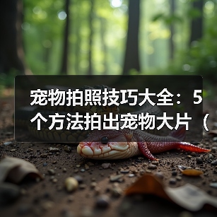 宠物拍照技巧大全：5个方法拍出宠物大片（2026推荐）（图3）