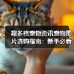 趣多格宠物资讯宠物图片选购指南：新手必看5大实用方法（图3）