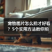 宠物图片怎么拍才好看？5个实用方法教你拍出高颜值萌宠照（图1）