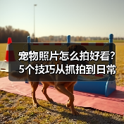 宠物照片怎么拍好看？5个技巧从抓拍到日常维护（图2）