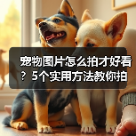 宠物图片怎么拍才好看？5个实用方法教你拍出高颜值萌宠照