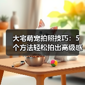 大宅萌宠拍照技巧：5个方法轻松拍出高级感宠物照片（图2）