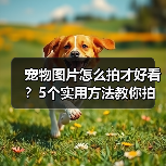 宠物图片怎么拍才好看？5个实用方法教你拍出高颜值萌宠照（图3）