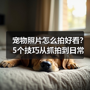 宠物照片怎么拍好看？5个技巧从抓拍到日常维护（图3）