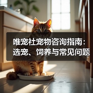 唯宠社宠物咨询指南：选宠、饲养与常见问题全解析2026（图1）