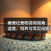 唯宠社宠物咨询指南：选宠、饲养与常见问题全解析2026（图2）