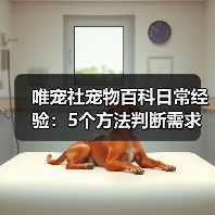 唯宠社宠物百科日常经验：5个方法判断需求与维护