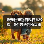 唯宠社宠物百科日常经验：5个方法判断需求与维护（图2）