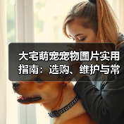 大宅萌宠宠物图片实用指南：选购、维护与常见问题解析（图1）