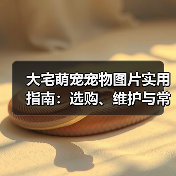 大宅萌宠宠物图片实用指南：选购、维护与常见问题解析
