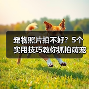 宠物照片拍不好？5个实用技巧教你抓拍萌宠日常（图1）
