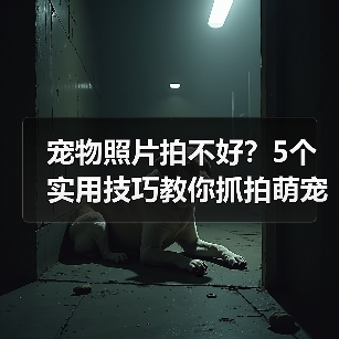 宠物照片拍不好？5个实用技巧教你抓拍萌宠日常（图2）