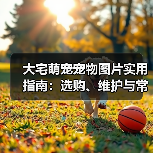 大宅萌宠宠物图片实用指南：选购、维护与常见问题解析（图4）
