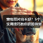 宠物照片拍不好？5个实用技巧教你抓拍萌宠日常（图4）