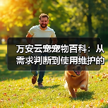 万安云宠宠物百科：从需求判断到使用维护的日常经验