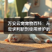 万安云宠宠物百科：从需求判断到使用维护的日常经验（图3）
