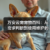 万安云宠宠物百科：从需求判断到使用维护的日常经验（图4）