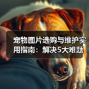 宠物图片选购与维护实用指南：解决5大难题的高效方法