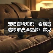 宠物百科知识：看病贵选粮难洗澡应激？常见场景选择要点与注意事项（图3）