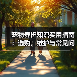 宠物养护知识实用指南：选购、维护与常见问题解析2026（图2）