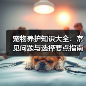 宠物养护知识大全：常见问题与选择要点指南（图1）