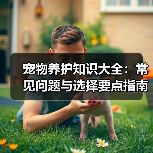 宠物养护知识大全：常见问题与选择要点指南（图2）