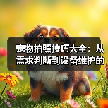 宠物拍照技巧大全：从需求判断到设备维护的实用指南（图2）