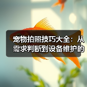 宠物拍照技巧大全：从需求判断到设备维护的实用指南