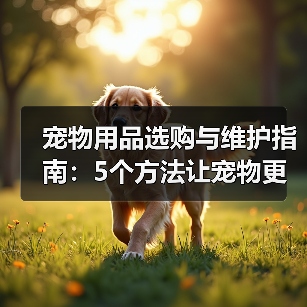 宠物用品选购与维护指南：5个方法让宠物更爱用
