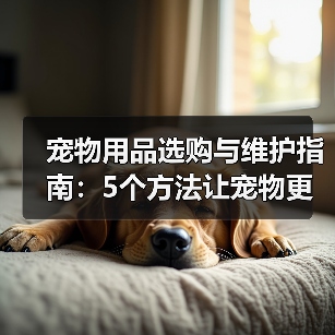 宠物用品选购与维护指南：5个方法让宠物更爱用（图3）